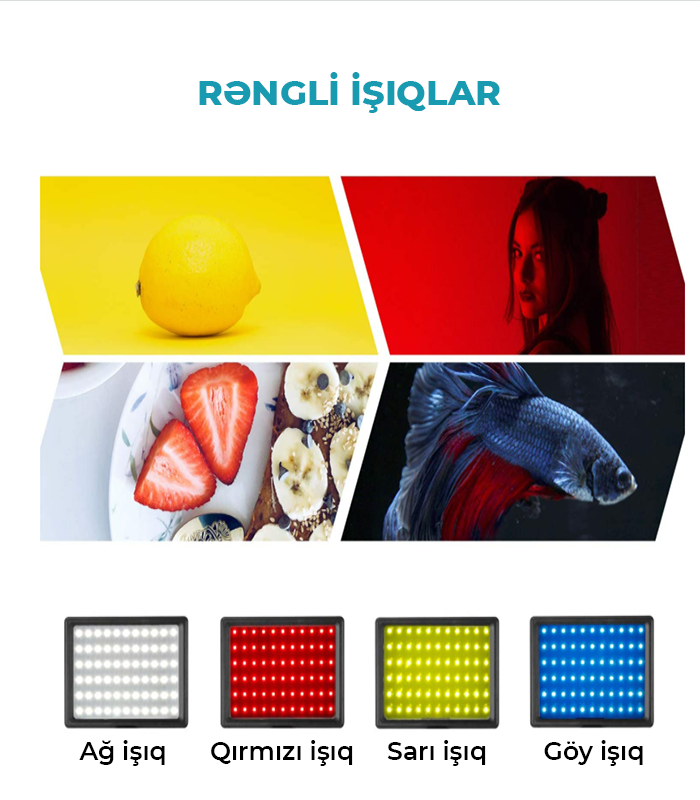 Neewer NW-66 LED
